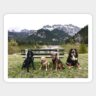 Four Pawed Friends Forever Sticker